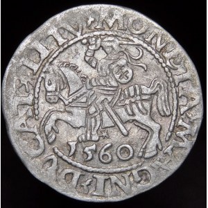 Sigismund II. Augustus, halber Pfennig 1560, Vilnius - DVX LI/LITV