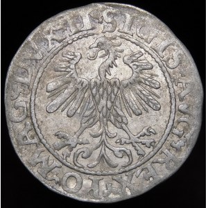 Sigismund II. Augustus, halber Pfennig 1560, Vilnius - DVX LI/LITV