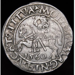 Sigismund II. Augustus, halber Pfennig 1560, Vilnius - DVX LI/LITVA