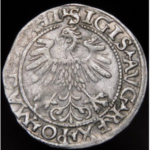 Sigismund II. Augustus, halber Pfennig 1560, Vilnius - DVX LI/LITVA