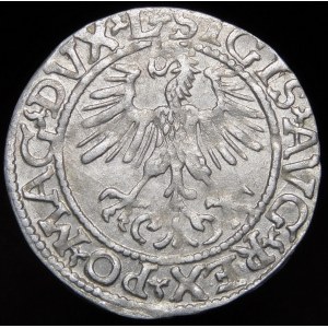 Sigismund II Augustus, Half-penny 1561, Vilnius - 13 Eagle, L/LITV