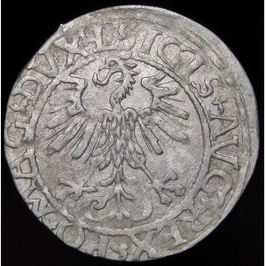 Sigismund II Augustus, Half-penny 1561, Vilnius - 13 Eagle, L/LITV