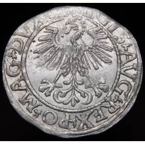 Zygmunt II August, Półgrosz 1561, Wilno - 13 Orzeł, LI/LITV
