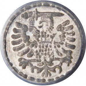 Zygmunt III Waza, Denar 1595, Gdańsk - wyśmienity