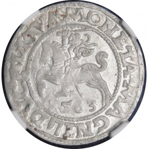 Sigismund II Augustus, Halbpfennig 1563, Vilnius - 19 Pogon, Axt, DVX L/LITVA - DVCT Fehler - sehr selten