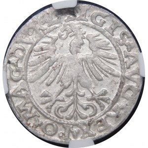 Sigismund II Augustus, Halbpfennig 1563, Vilnius - 19 Pogon, Axt, DVX L/LITVA - DVCT Fehler - sehr selten