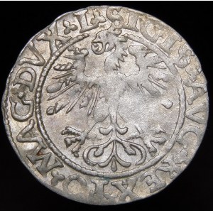 Sigismund II Augustus, Half-grosz 1562, Vilnius - 17 Pogon, L/LITVA