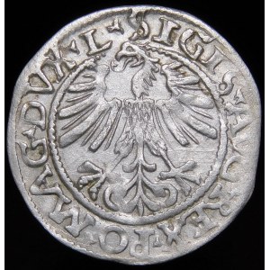 Zygmunt II August, Półgrosz 1562, Wilno - 18 Pogoń, L/LITV - bez 9