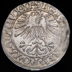 Zygmunt II August, Półgrosz 1562, Wilno - 18 Pogoń, LI/LITV