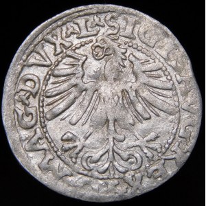 Sigismund II Augustus, Half-penny 1563, Vilnius - 19 Pogon, Axe, DVX L/LITV