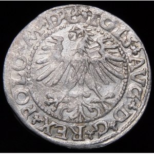 Sigismund II Augustus, Halbpfennig 1563, Wilna - 19 Pogon, Axt, M D L/LITVA
