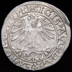 Sigismund II Augustus, Half-grosz 1563, Vilnius - 20 Pogon, Axe, M D LI/LITVA