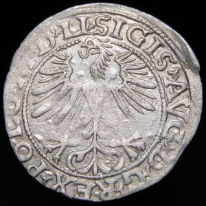 Zygmunt II August, Półgrosz 1563, Wilno - 20 Pogoń, Topór, M D LI/LITVA
