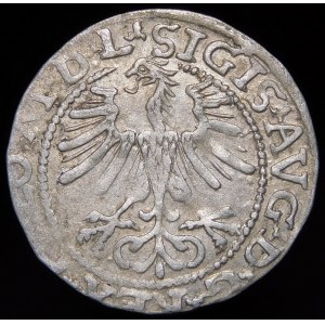 Sigismund II Augustus, Half-penny 1564, Vilnius - 21 Pogon, Axe, L/LITV