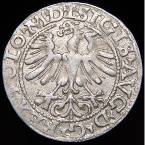 Sigismund II Augustus, Halbergroschen 1565, Wilna - 22 Pogon, Axt, L/LITV