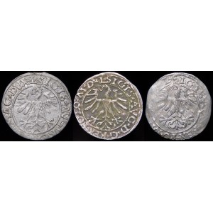 Sigismund II Augustus, Vilnius half-penny - set (pcs. 3)