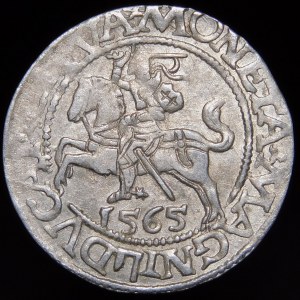 Sigismund II Augustus, Half-penny 1565, Vilnius - 22 Pogon, Axe, L/LITVA