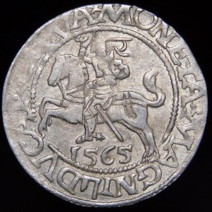 Sigismund II Augustus, Halbergroschen 1565, Wilna - 22 Pogon, Axt, L/LITVA