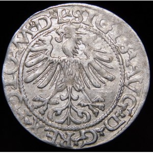 Sigismund II Augustus, Half-penny 1565, Vilnius - 22 Pogon, Axe, L/LITVA