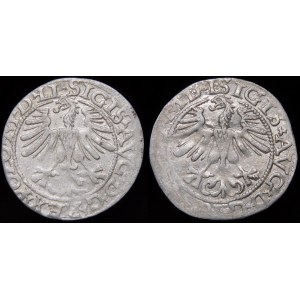Sigismund II Augustus, Half-penny 1565, Vilnius - varieties - set (pcs. 2)