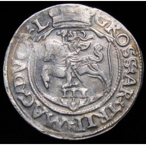 Zygmunt II August, Trojak 1564, Wilno
