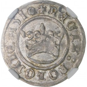 Sigismund I. der Alte, Halbpfennig 1510, Krakau