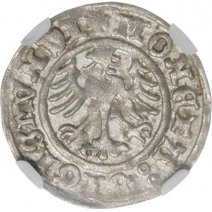 Sigismund I. der Alte, Halbpfennig 1510, Krakau