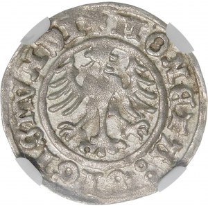Sigismund I the Old, Half-penny 1510, Cracow