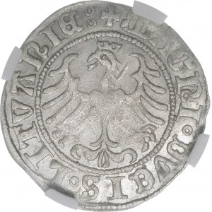 Sigismund I. der Alte, Halbpfennig 1509, Wilna - Herold ohne Scheide - Variante