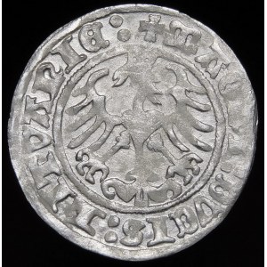 Sigismund I. der Alte, Halbpfennig 1512, Wilna - Doppelpunkt