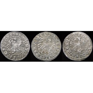Sigismund I the Old, Half-penny 1512, Vilnius - variants - set (pcs. 3)