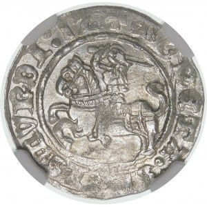 Sigismund I. der Alte, Halbpfennig 1512, Vilnius - Punkt - schön und sehr selten