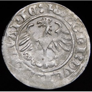 Sigismund I. der Alte, Halbpfennig 1513, Vilnius - Doppelpunkte