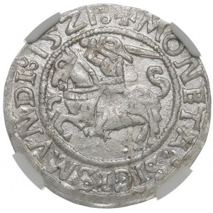 Zygmunt I Stary, Półgrosz 1521, Wilno - dwukropki
