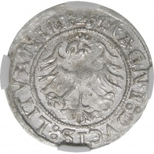 Sigismund I. der Alte, Halbpfennig 1521, Wilna - Doppelpunkte