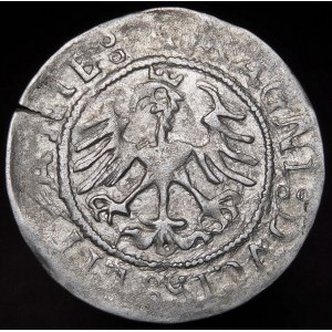 Sigismund I. der Alte, Halbpfennig 1522, Vilnius - Datumsstempel I/55ZZ - selten