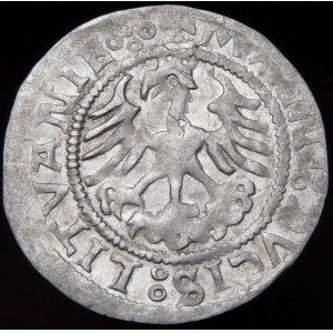 Sigismund I the Old, Half-penny 1523, Vilnius - undescribed