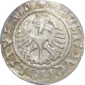Sigismund I. der Alte, halber Pfennig 1527, Vilnius - Doppelpunkt - schön und sehr selten
