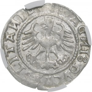 Sigismund I. der Alte, Halbpfennig 1528, Wilna - V - Fehler MONEA, LITANIEN - Rarität