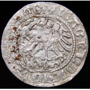 Sigismund I the Old, Half-penny 15???, Vilnius - destrukt