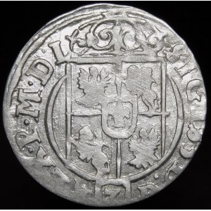Sigismund III Vasa, Half-track 1625, Bydgoszcz - Saxon in oval shield
