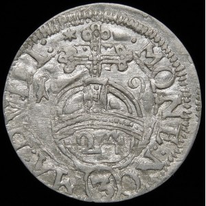 Sigismund III Vasa, Half-track 1619, Vilnius - plethora of errors - very rare and beautiful