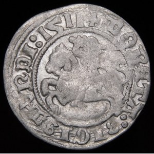 Sigismund I. der Alte, Halbpfennig 1511, Wilna - schräger Doppelpunkt - selten