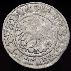 Sigismund I. der Alte, Halbpfennig 1511, Wilna - schräger Doppelpunkt - selten