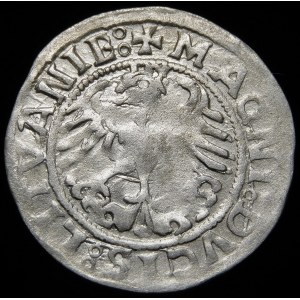 Zygmunt I Stary, Półgrosz 1519, Wilno - dziury w skrzydłach