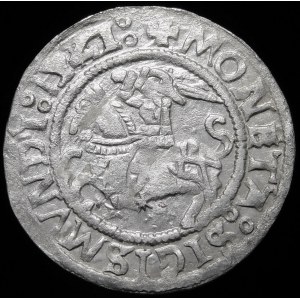 Sigismund I the Old, Half-penny 1521, Vilnius - date punctuation 15Z/II- rare