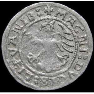 Sigismund I the Old, Half-penny 1521, Vilnius - MONEA error - very rare