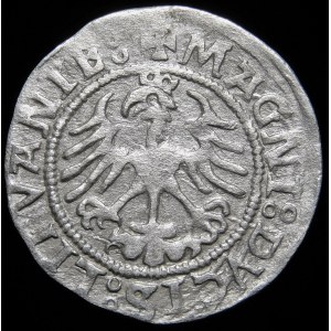 Sigismund I the Old, Half-penny 1522, Vilnius - colons