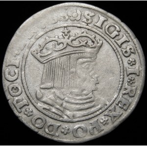 Sigismund I the Old, Penny 1529, Torun