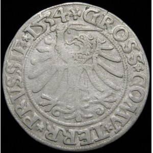 Sigismund I the Old, Penny 1534, Torun - crowned - variety